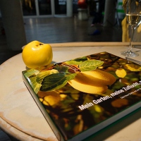 buch-haus-quitte_lesung_2013_11_006